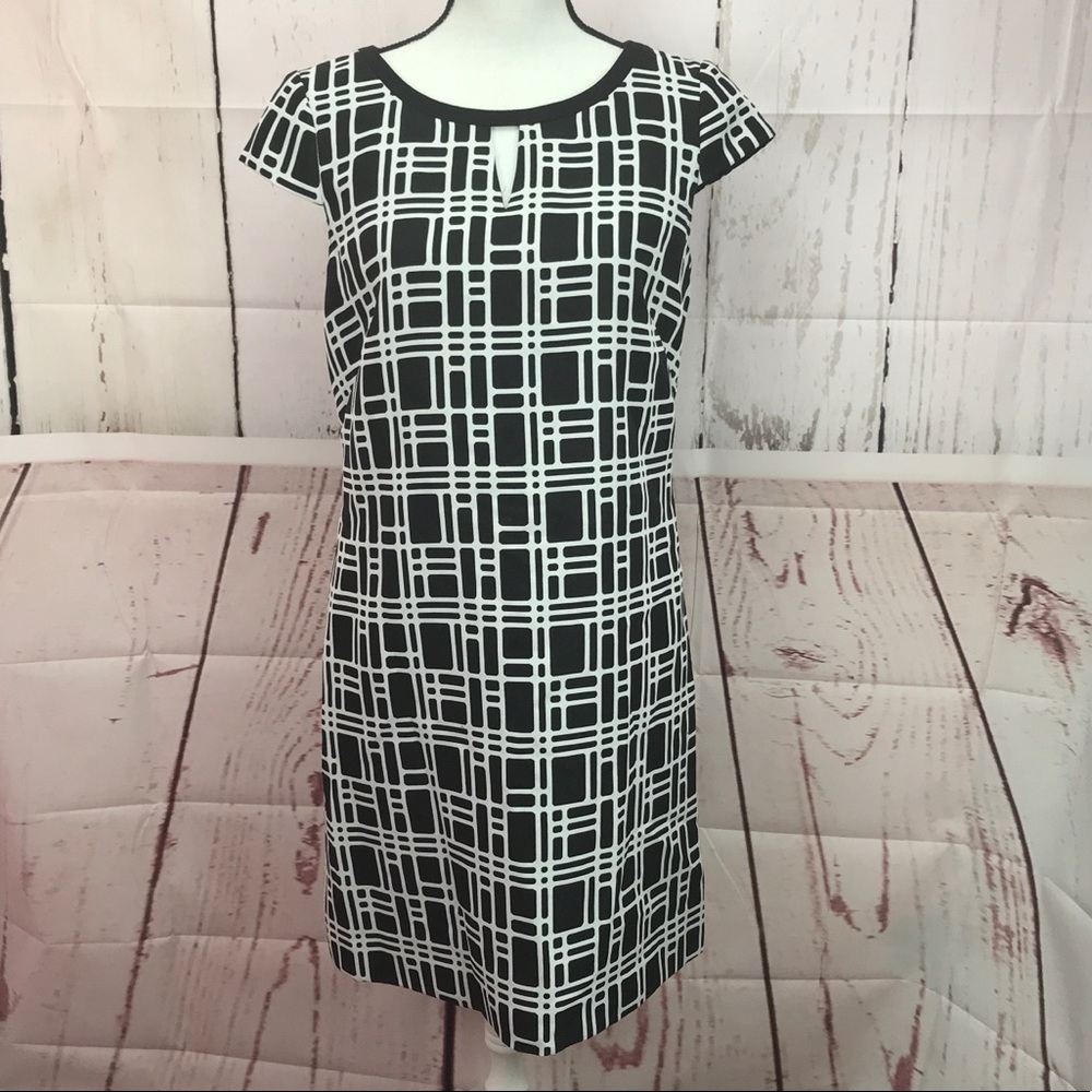 Tahari Arthur s Levine Shelth dress